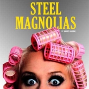 Center Stage Theater: 'Steel Magnolias', evening performance.