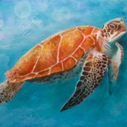 Sea Turtle Class: Acrylics