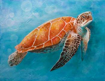 Sea Turtle Class: Acrylics