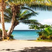 Palette & Palm Trees