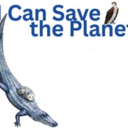 Raptor Center: I Can Save the Planet